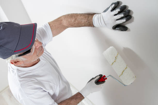 Environmental Consulting for Mold Prevention in Wimauma, FL