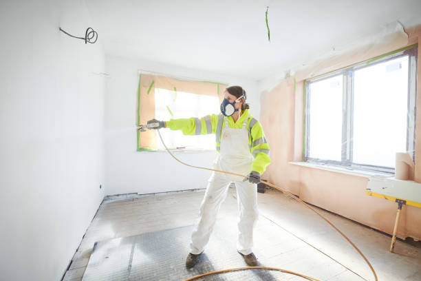 Reliable Wimauma, FL Mold Removal Solutions