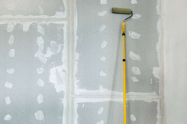 Best Water Damage & Mold Remediation  in Wimauma, FL