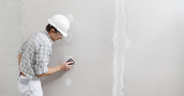 Best Airborne Mold Testing  in Wimauma, FL