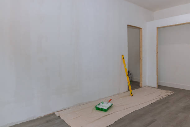 Best Mold Odor Removal Services  in Wimauma, FL
