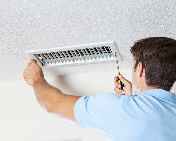 Best Mold Prevention Services  in Wimauma, FL