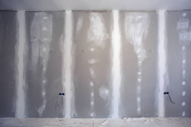 Best Mold Documentation for Insurance Claims  in Wimauma, FL